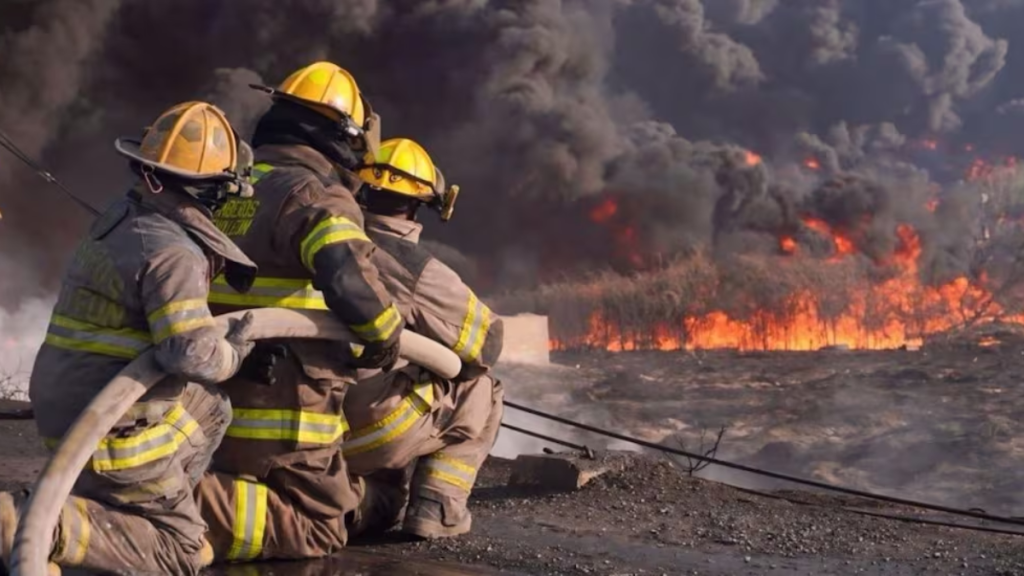 Gobernador De Nuevo León Simula Detenciones Durante Emergencia Por Incendios | Ciudadano Seguros Gobernador De Nuevo León Simula Detenciones Durante Emergencia Por Incendios
