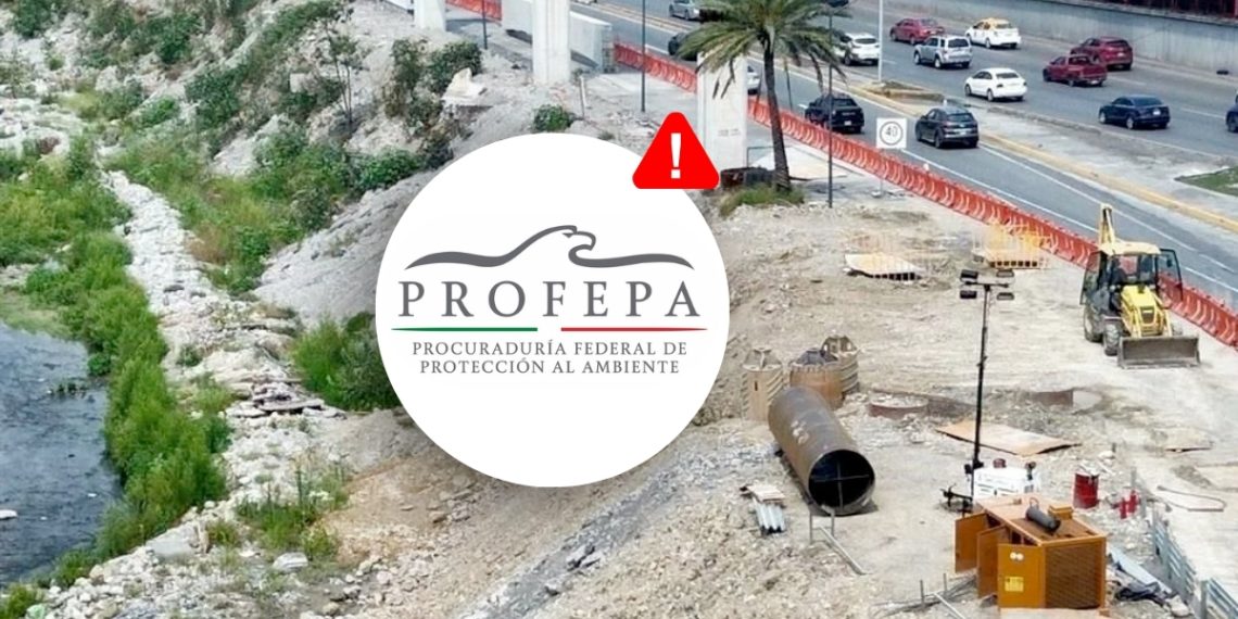 Ciudadanos Seguros | Ciudadano Seguros | Ciudadano Seguros