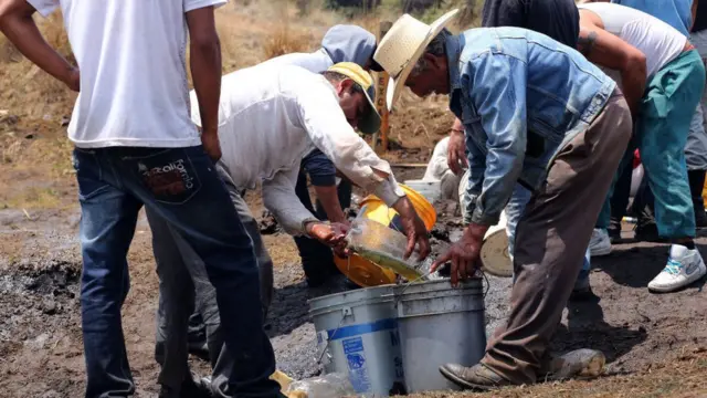 Image | Ciudadano Seguros Huachicoleo En Nuevo León