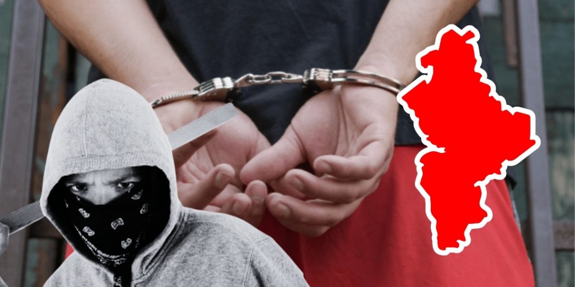 Ciudadanos Seguros | Ciudadano Seguros | Ciudadano Seguros