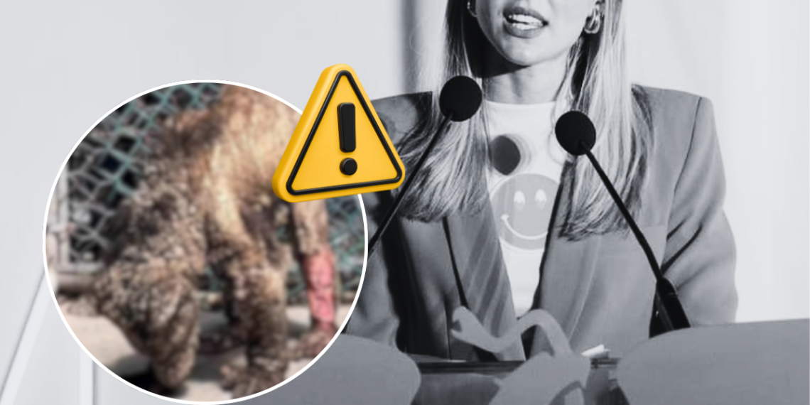 Maltrato Animal De Mariana Rodríguez | Ciudadano Seguros Maltrato Animal De Mariana Rodríguez | Ciudadano Seguros