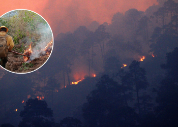 Incendios Forestales En Puebla | Ciudadano Seguros