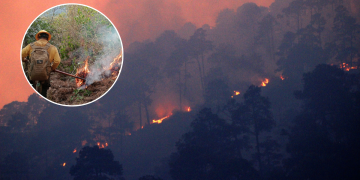 Incendios Forestales En Puebla | Ciudadano Seguros