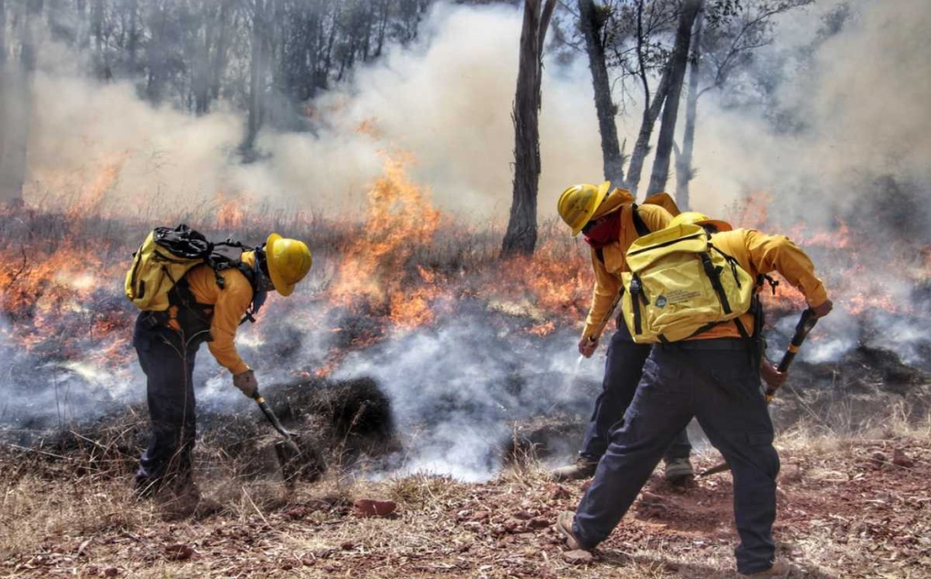 Los Incendios Forestales En Puebla Dejaron Más De 13 Mil Hectáreas Dañadas En 2025. Autoridades Alertan Sobre Riesgos Y Causas Humanas.