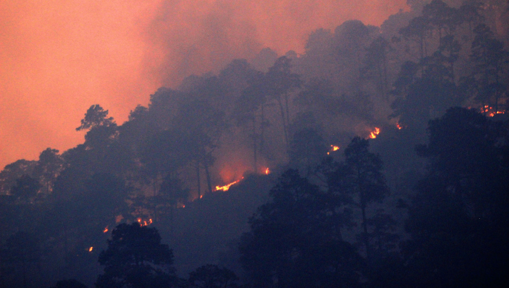 Los Incendios Forestales En Puebla Dejaron Más De 13 Mil Hectáreas Dañadas En 2025. Autoridades Alertan Sobre Riesgos Y Causas Humanas.