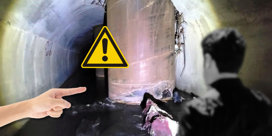 Ciudadanos Seguros | Ciudadano Seguros | Ciudadano Seguros