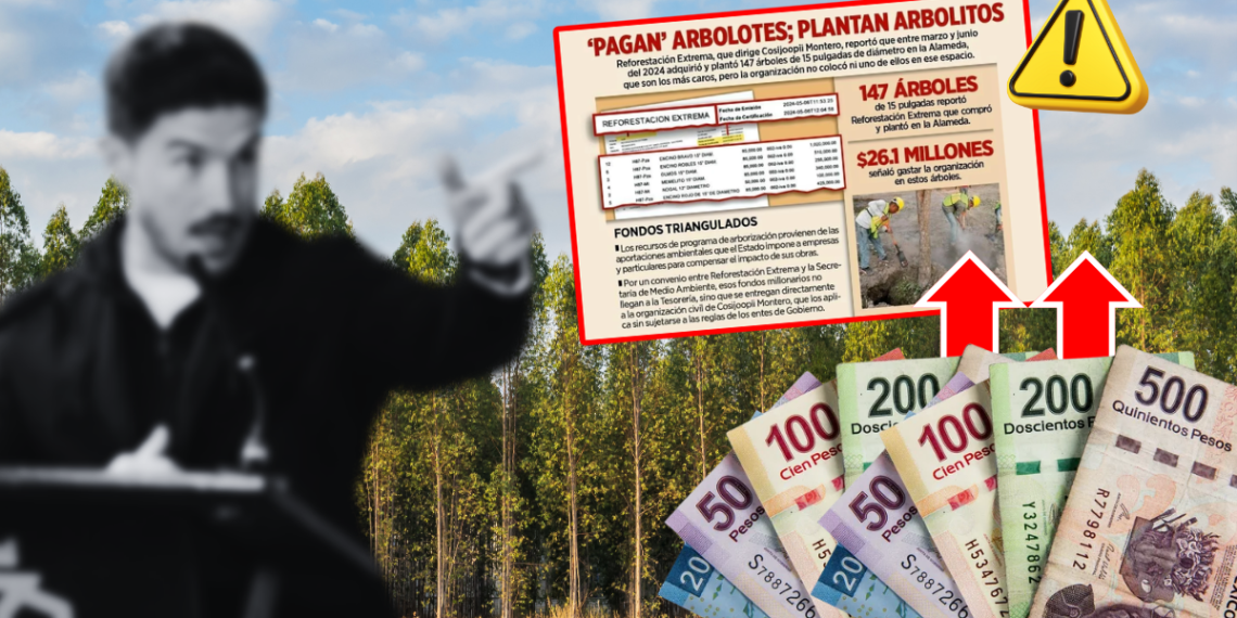 Árboles-fantasmas-reforestación-extrema-gasto-público-medio-ambiente-alameda | Ciudadano Seguros