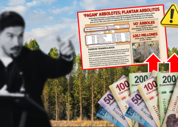 Árboles-fantasmas-reforestación-extrema-gasto-público-medio-ambiente-alameda | Ciudadano Seguros