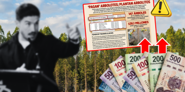 Árboles-fantasmas-reforestación-extrema-gasto-público-medio-ambiente-alameda | Ciudadano Seguros