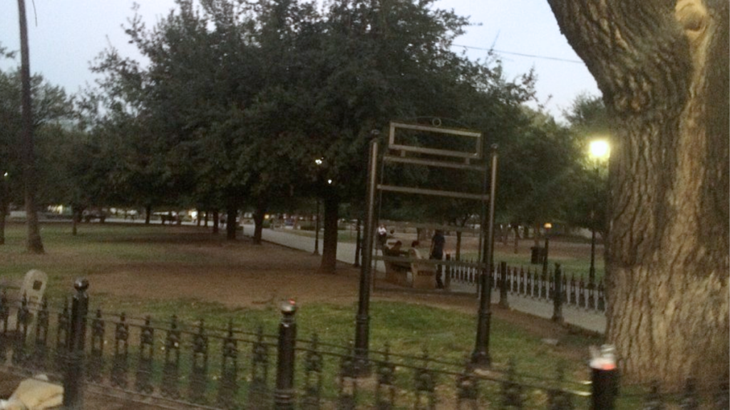 Árboles-fantasmas-reforestación-extrema-gasto-público-medio-ambiente-alameda