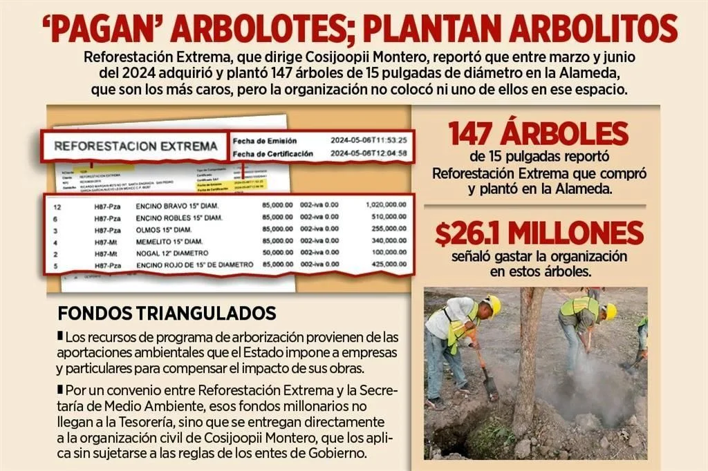 Árboles-fantasmas-reforestación-extrema-gasto-público-medio-ambiente-alameda