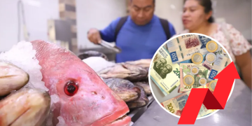 Precios En Semana Santa En Mty | Ciudadano Seguros