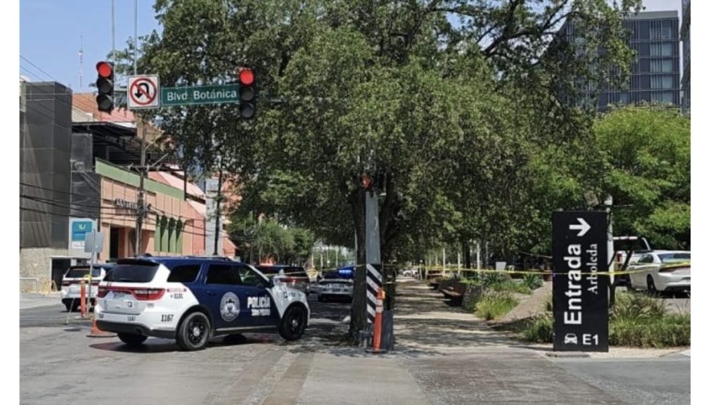 Seguridad Pública En Nl