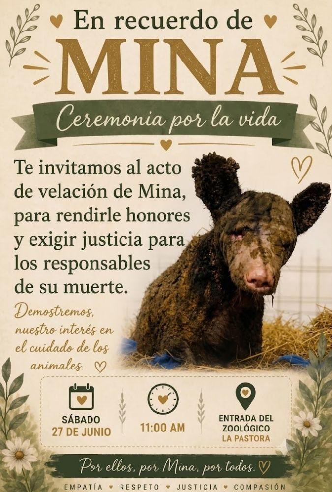 Velación Por La Osa Mina | Ciudadano Seguros