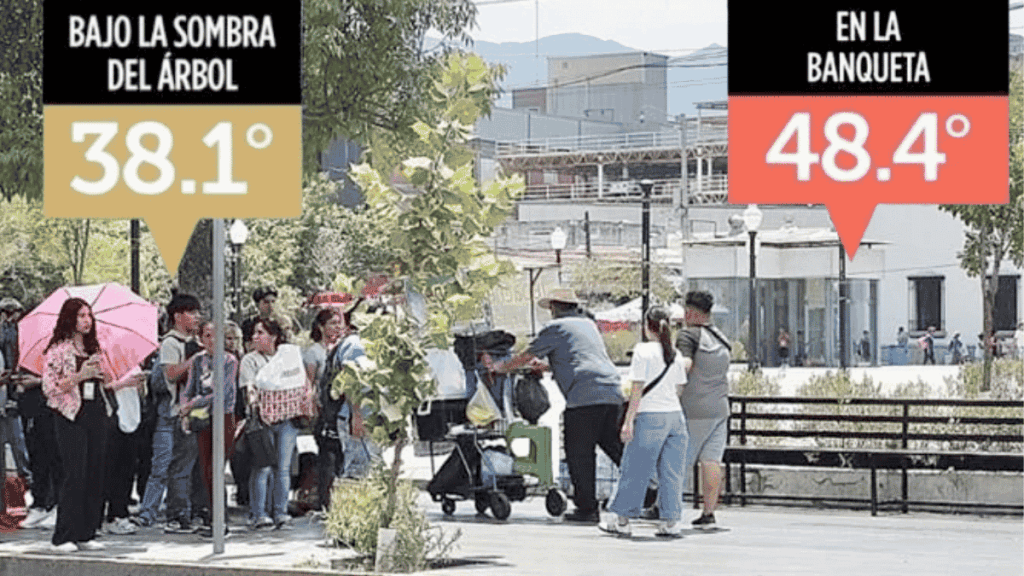 Como Las Paradas De Autobús Sin Sombra En Nuevo León Afectan La Salud | Ciudadano Seguros