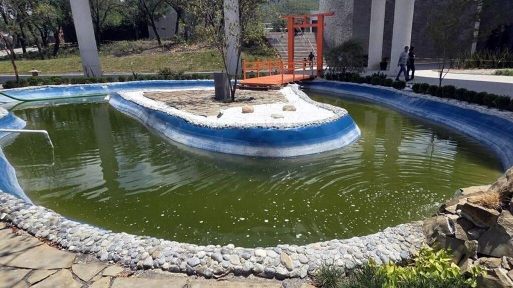 Plagas En El Parque Del Agua En Guadalupe | Ciudadano Seguros