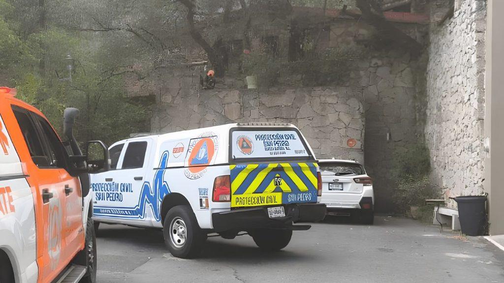 Oso Entra En Casa De San Pedro  | Ciudadano Seguros