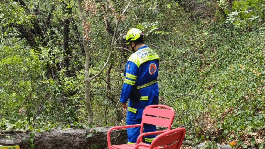 Oso Entra En Casa De San Pedro  | Ciudadano Seguros